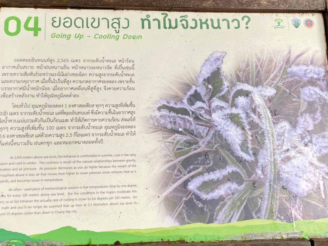 IMG_3900.jpeg