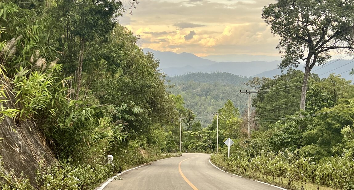 IMG_5585.jpeg IMG_5585.jpeg