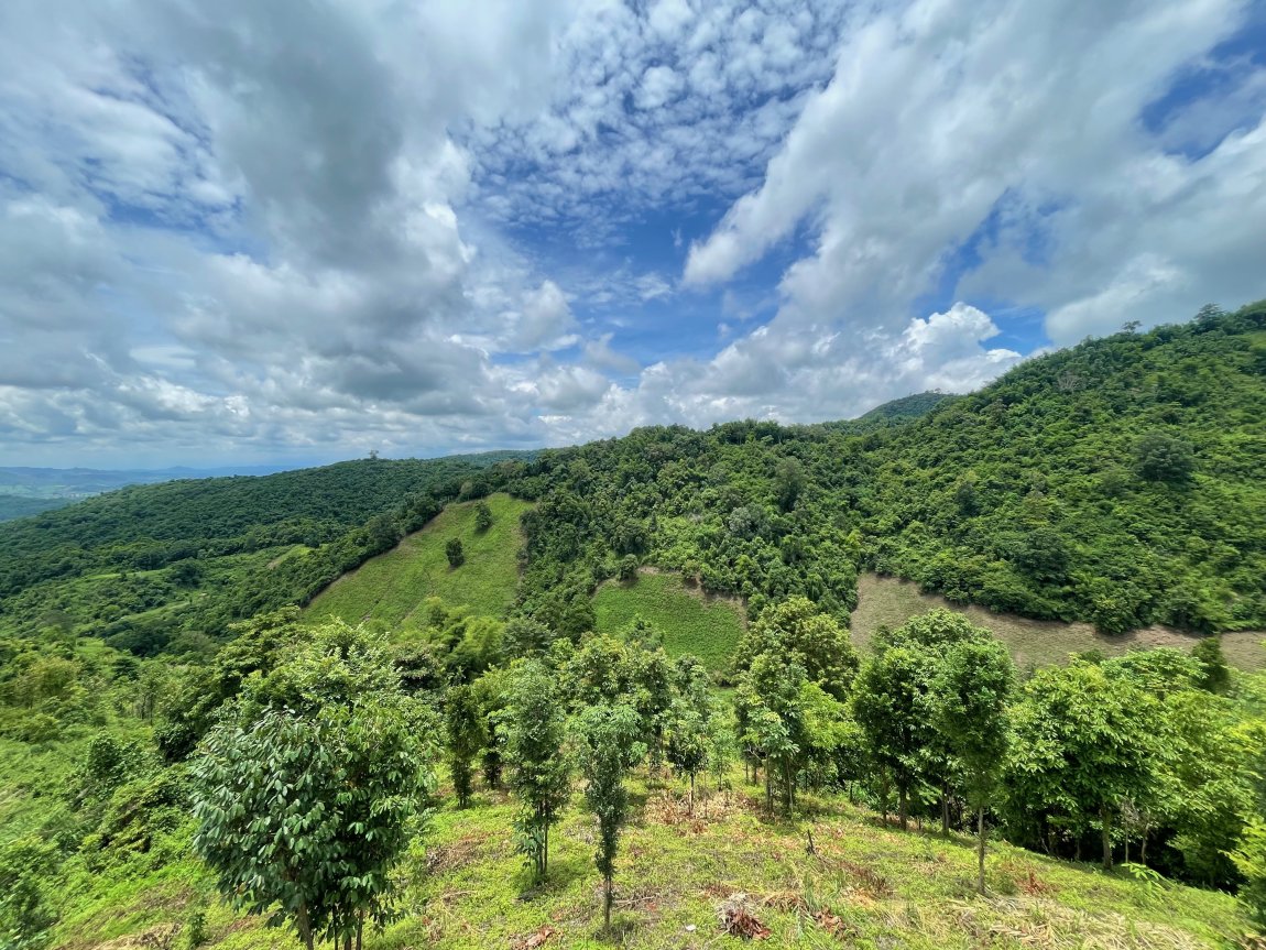 IMG_9696.jpeg IMG_9696.jpeg