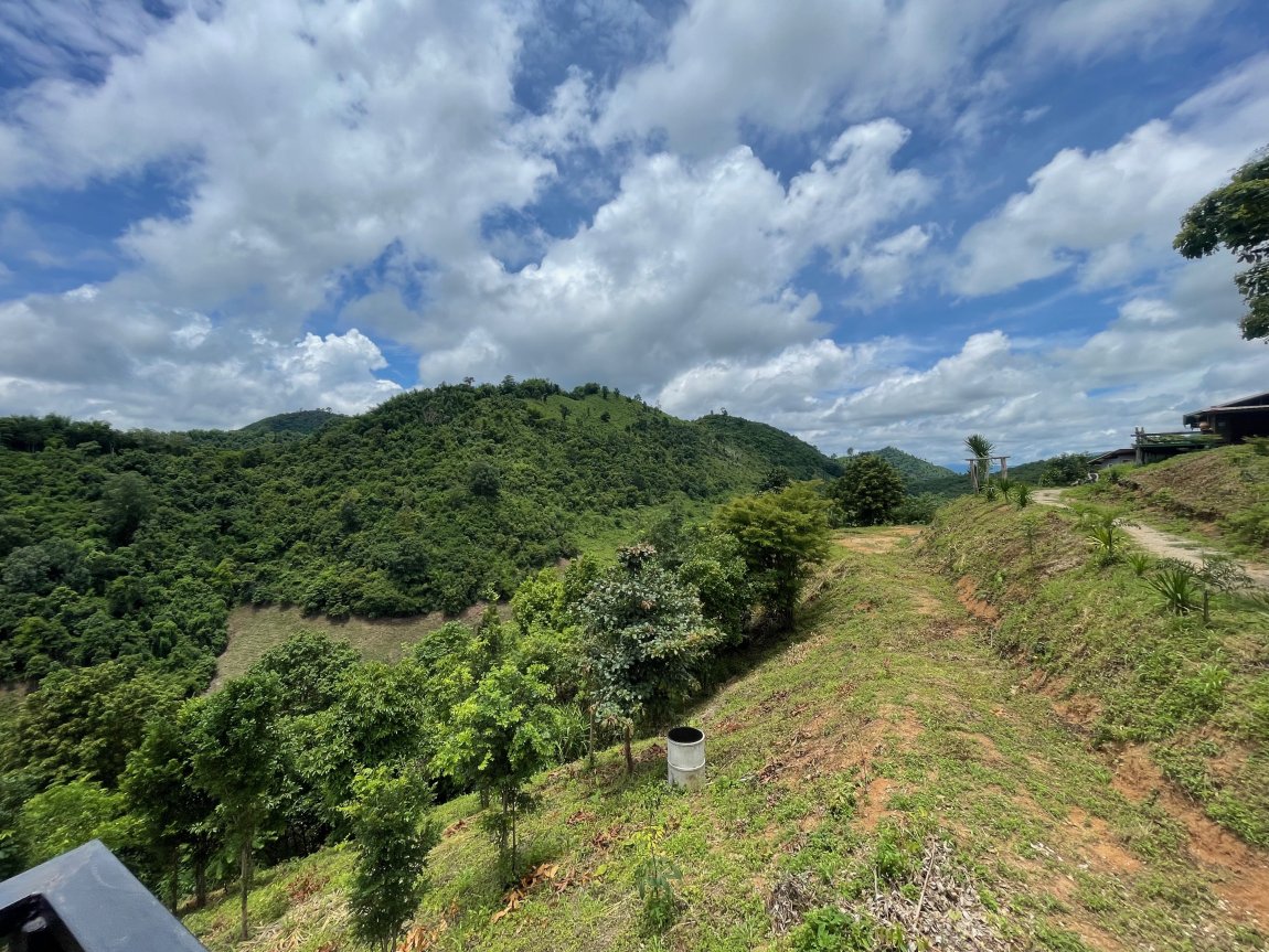 IMG_9697.jpeg IMG_9697.jpeg