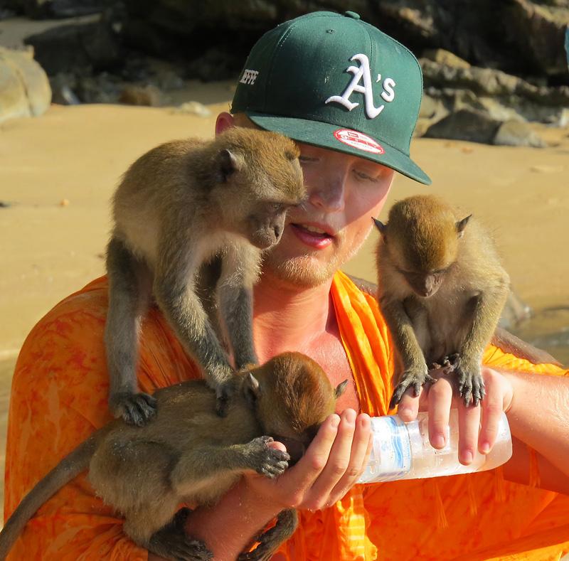 krabi-monkeys-thumb.jpg