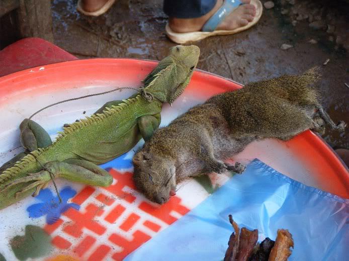 Laos-Motorcycle-Asia19.jpg Laos-Motorcycle-Asia19.jpg