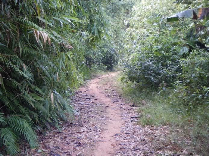 Laos-Motorcycle-Asia23.jpg Laos-Motorcycle-Asia23.jpg