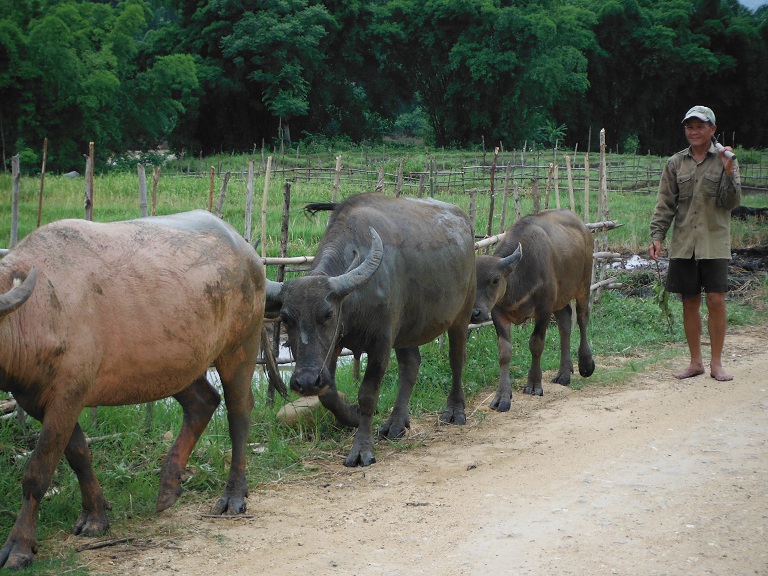 Laos-Xam Neua-Muang et-Motorcycle (52).JPG Laos-Xam Neua-Muang et-Motorcycle (52).JPG
