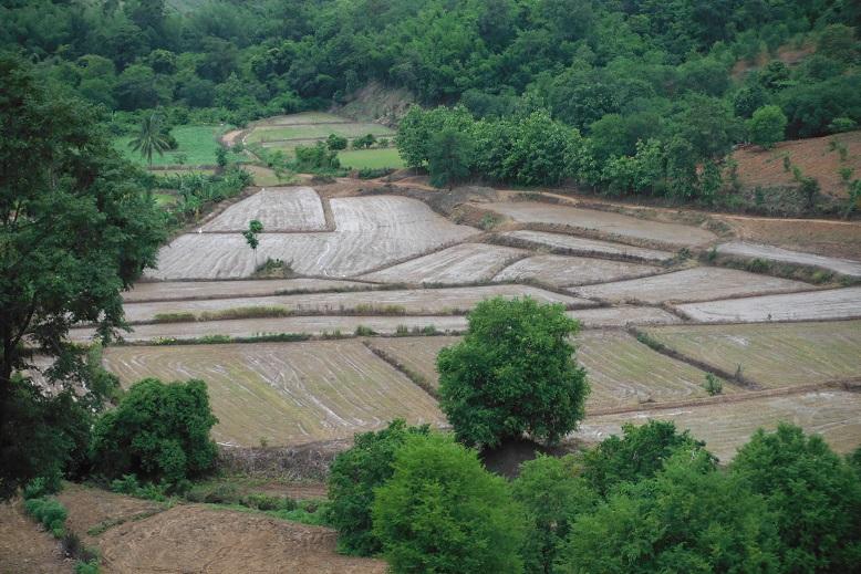 Loei Thailand (19).JPG