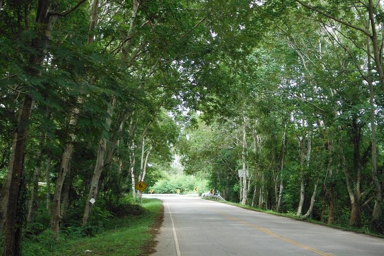 Loei Thailand (2).JPG