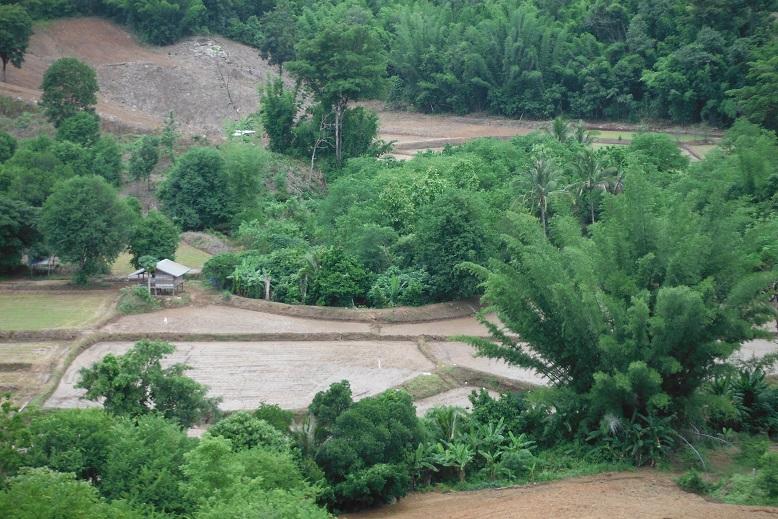 Loei Thailand (20).JPG