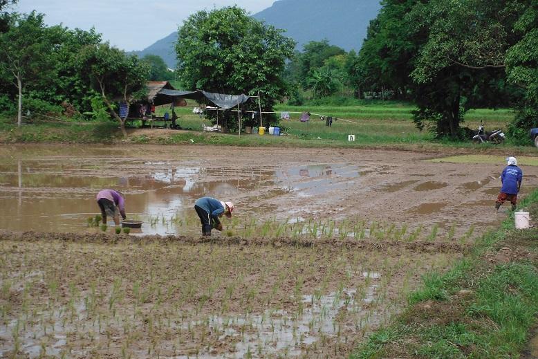 Loei Thailand (3).JPG