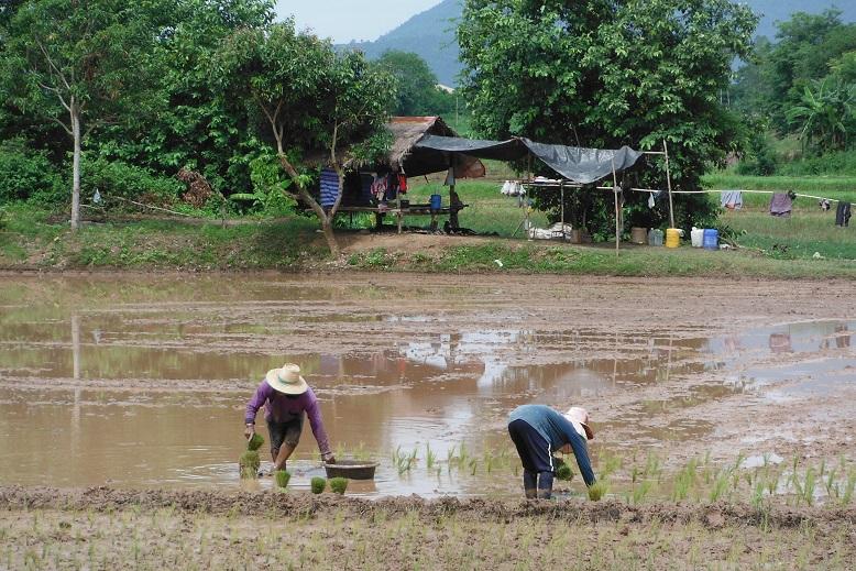 Loei Thailand (4).JPG
