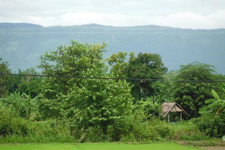 Loei Thailand (5).JPG