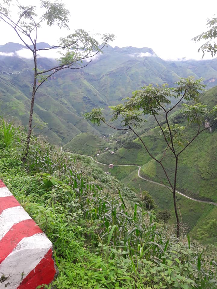 m vietnam rit  (10).jpg