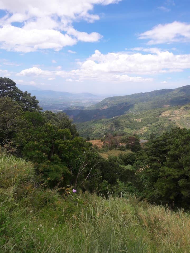 m vietnam rit  (11).jpg