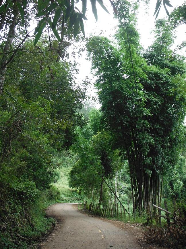 Mae Hong Son motorcycle ride tour thailand (13).JPG