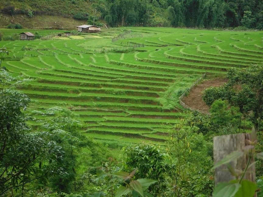 Mae Hong Son motorcycle ride tour thailand (17).JPG