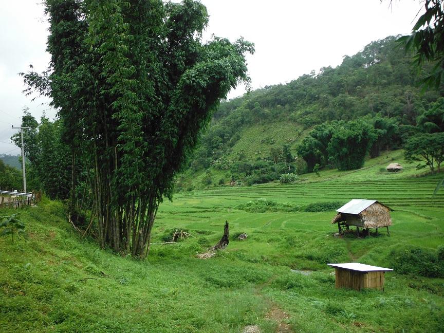 Mae Hong Son motorcycle ride tour thailand (18).JPG