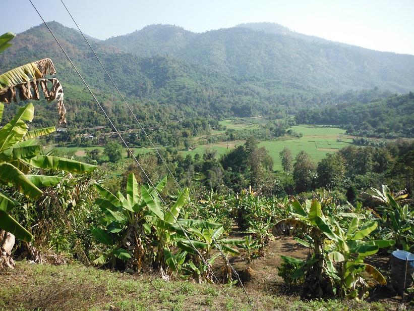 Mae Sariang (12).JPG