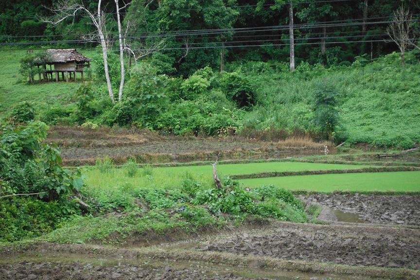 Mae Sot Thailand (2).JPG