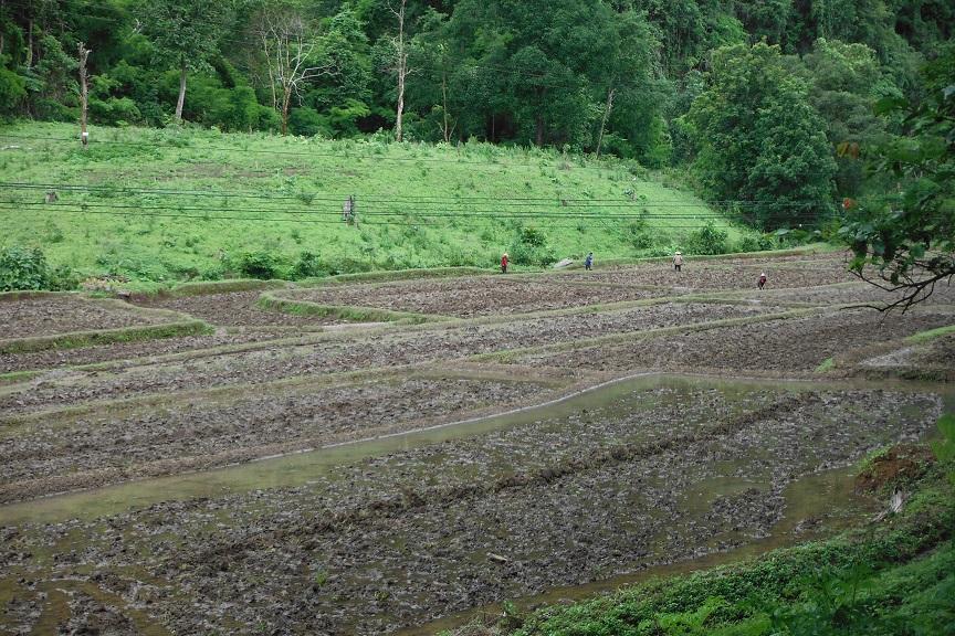 Mae Sot Thailand (3).JPG