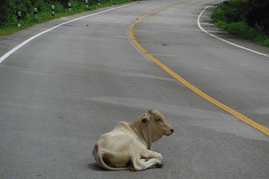 Mae Sot Thailand (9).JPG