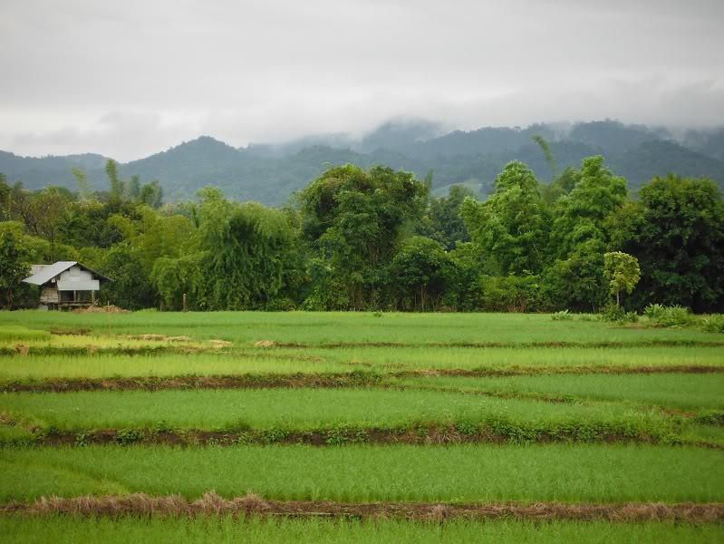 MaeSot-MaeSarieng6.jpg