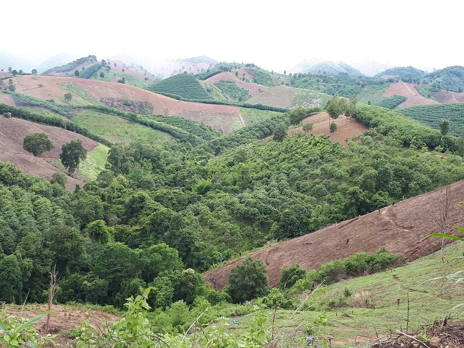 Nan Thailand (16).jpg