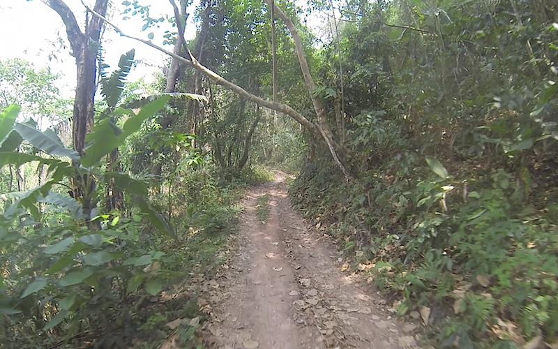 Nanthaburi NP SW 1.jpg