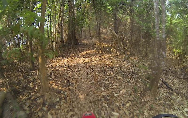 Nanthaburi NP SW 10.jpg