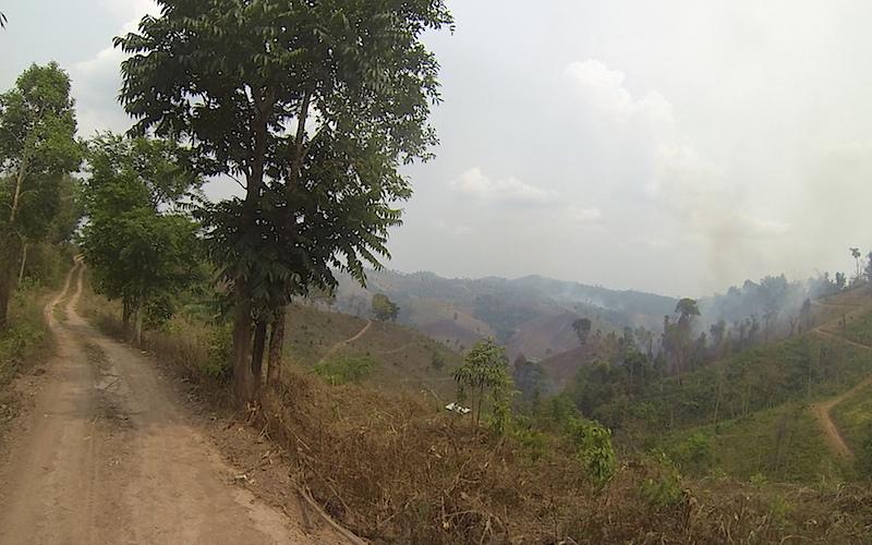 Nanthaburi NP SW 5.jpg