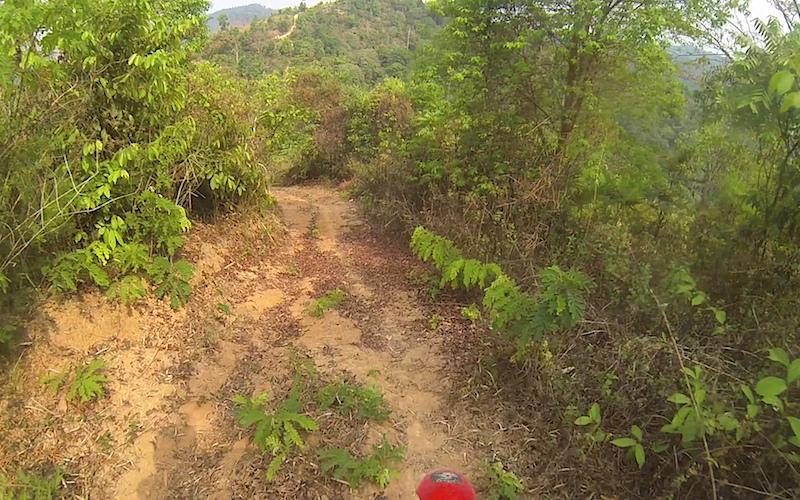 Nanthaburi NP SW 7.jpg