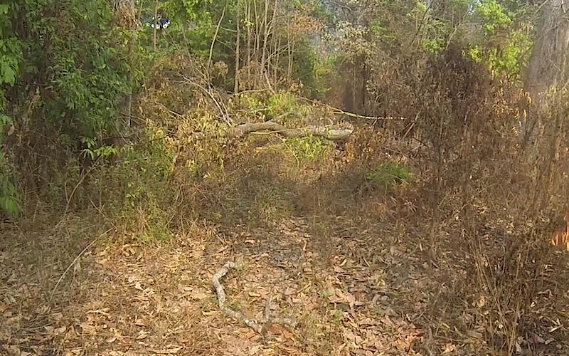 Nanthaburi NP SW 9.jpg