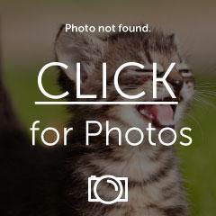 newstuffsalesm.jpg newstuffsalesm.jpg