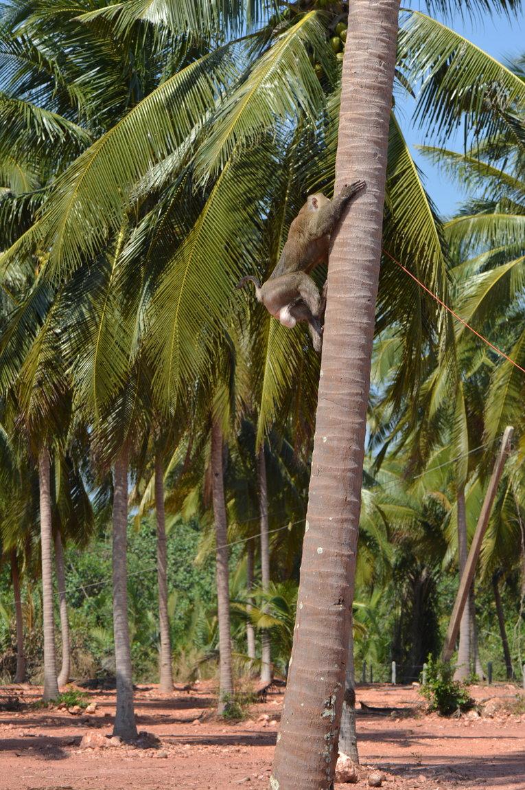 NIK_2982.JPG NIK_2982.JPG