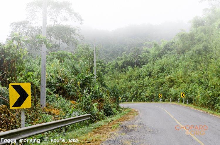 NK7_0018-Edit.jpg NK7_0018-Edit.jpg