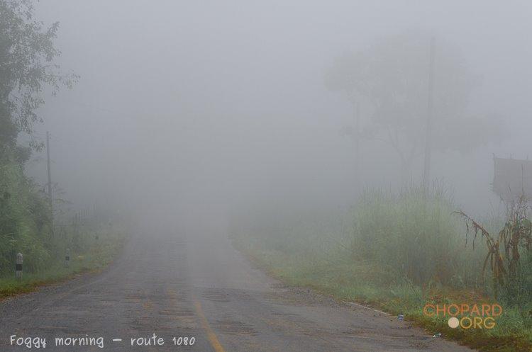 NK7_0020.jpg NK7_0020.jpg