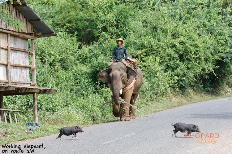 NK7_0085.jpg NK7_0085.jpg