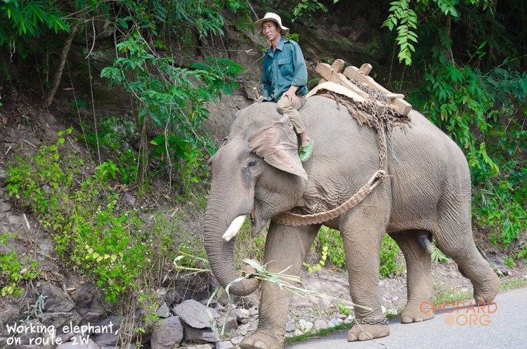 NK7_0090.jpg NK7_0090.jpg