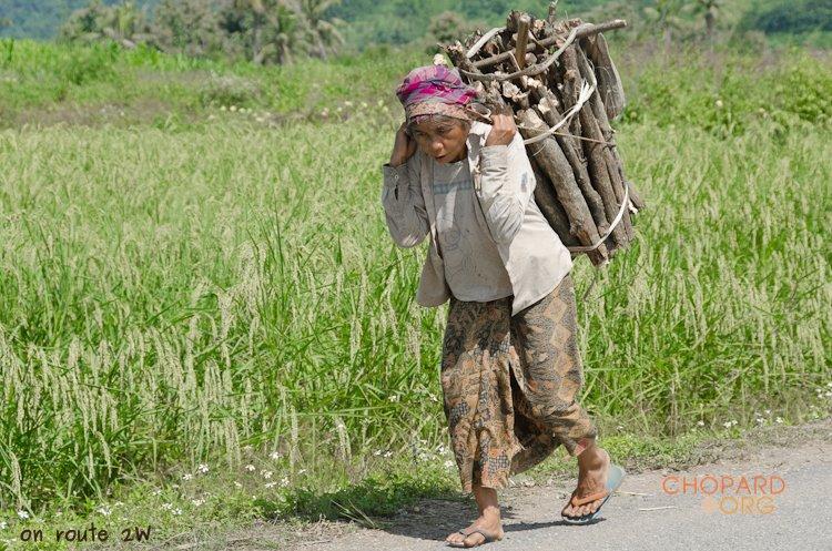 NK7_0137.jpg NK7_0137.jpg