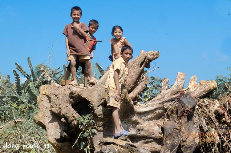 NK7_0217.jpg NK7_0217.jpg