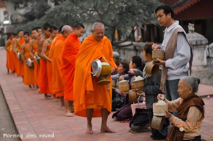 NK7_0268.jpg NK7_0268.jpg