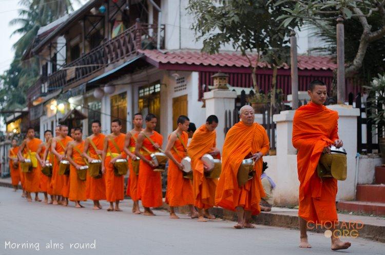 NK7_0294.jpg NK7_0294.jpg