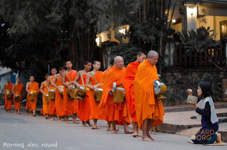 NK7_0305.jpg NK7_0305.jpg