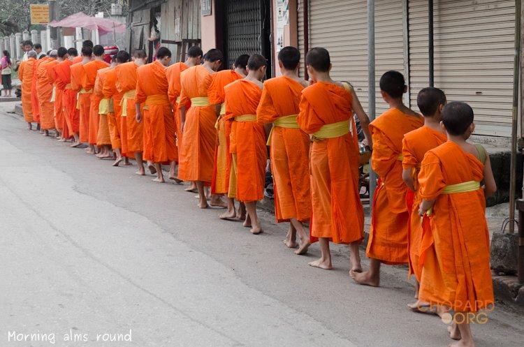 NK7_0331.jpg NK7_0331.jpg