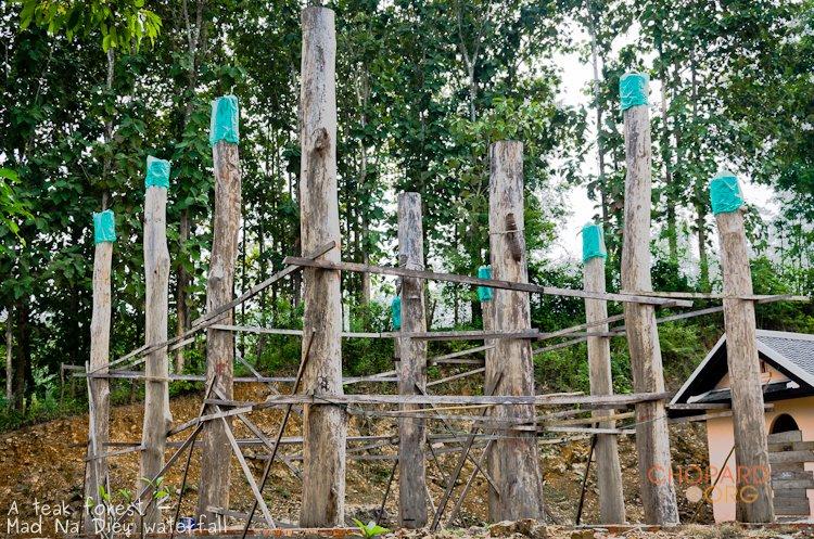 NK7_0421.jpg NK7_0421.jpg