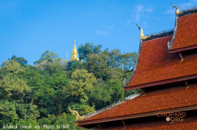 NK7_0457.jpg NK7_0457.jpg