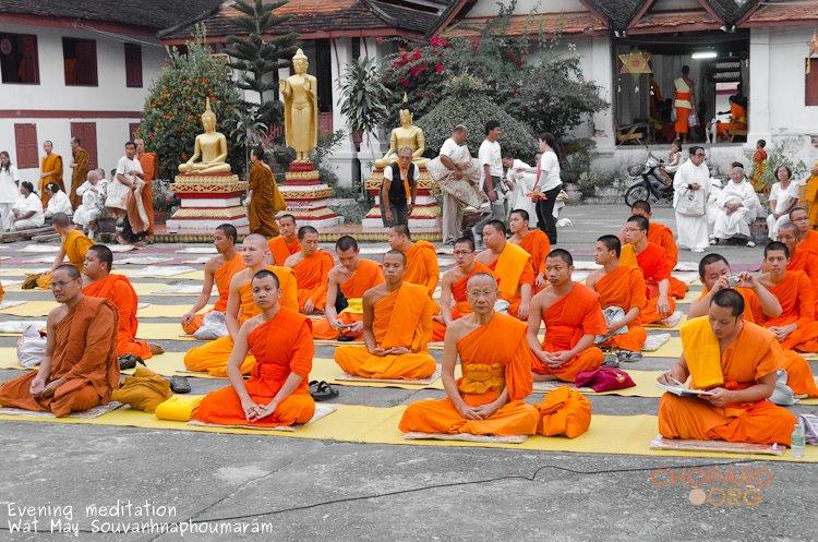 NK7_0530.jpg NK7_0530.jpg