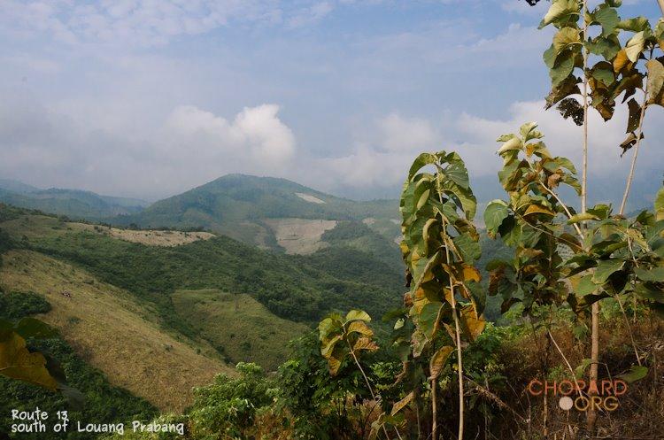 NK7_0605.jpg NK7_0605.jpg