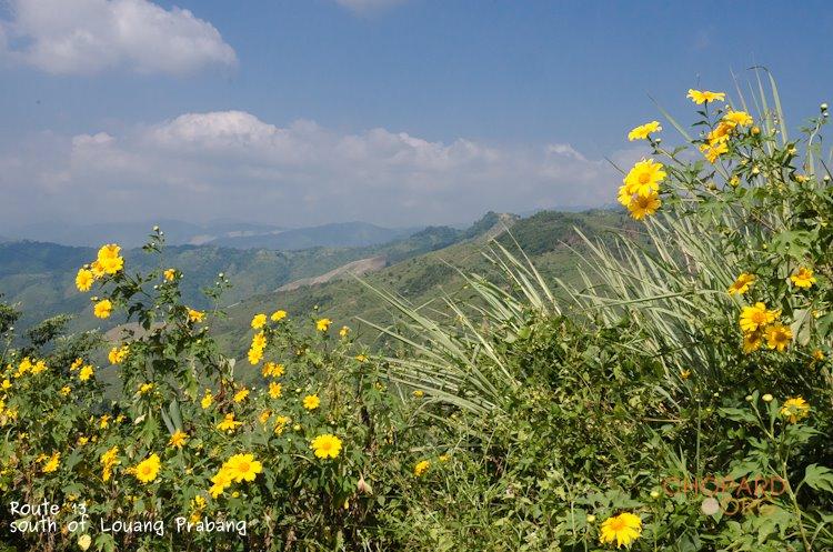 NK7_0642.jpg NK7_0642.jpg