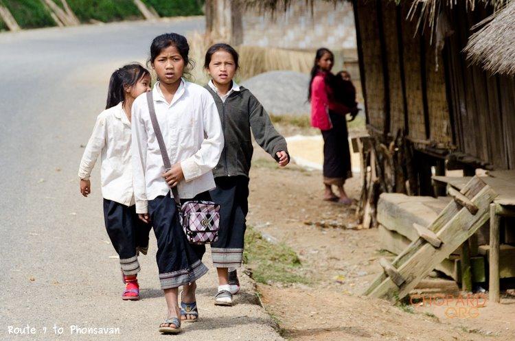 NK7_0711.jpg NK7_0711.jpg