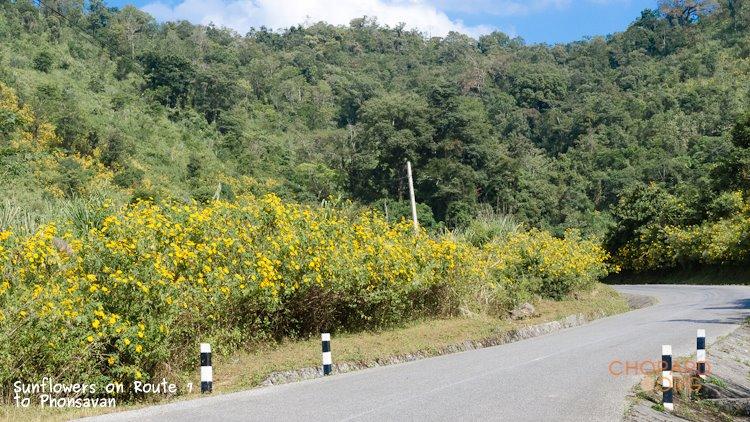 NK7_0741.jpg NK7_0741.jpg