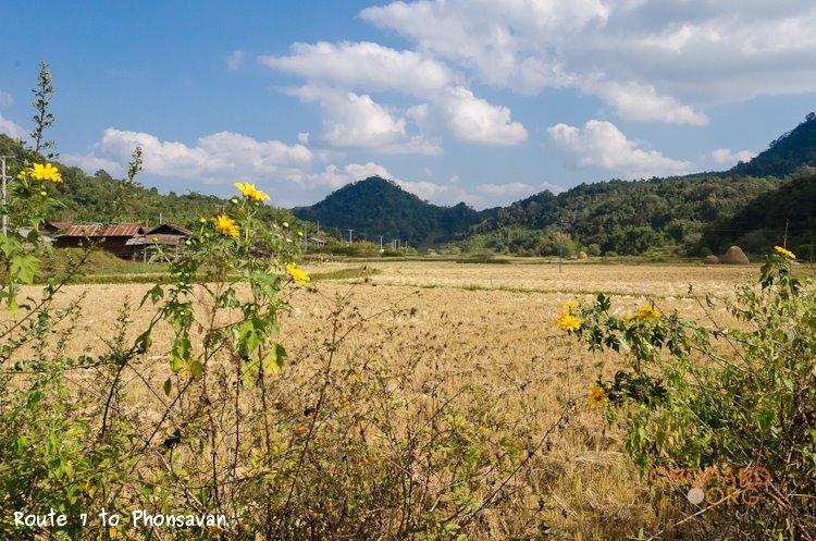 NK7_0749.jpg NK7_0749.jpg